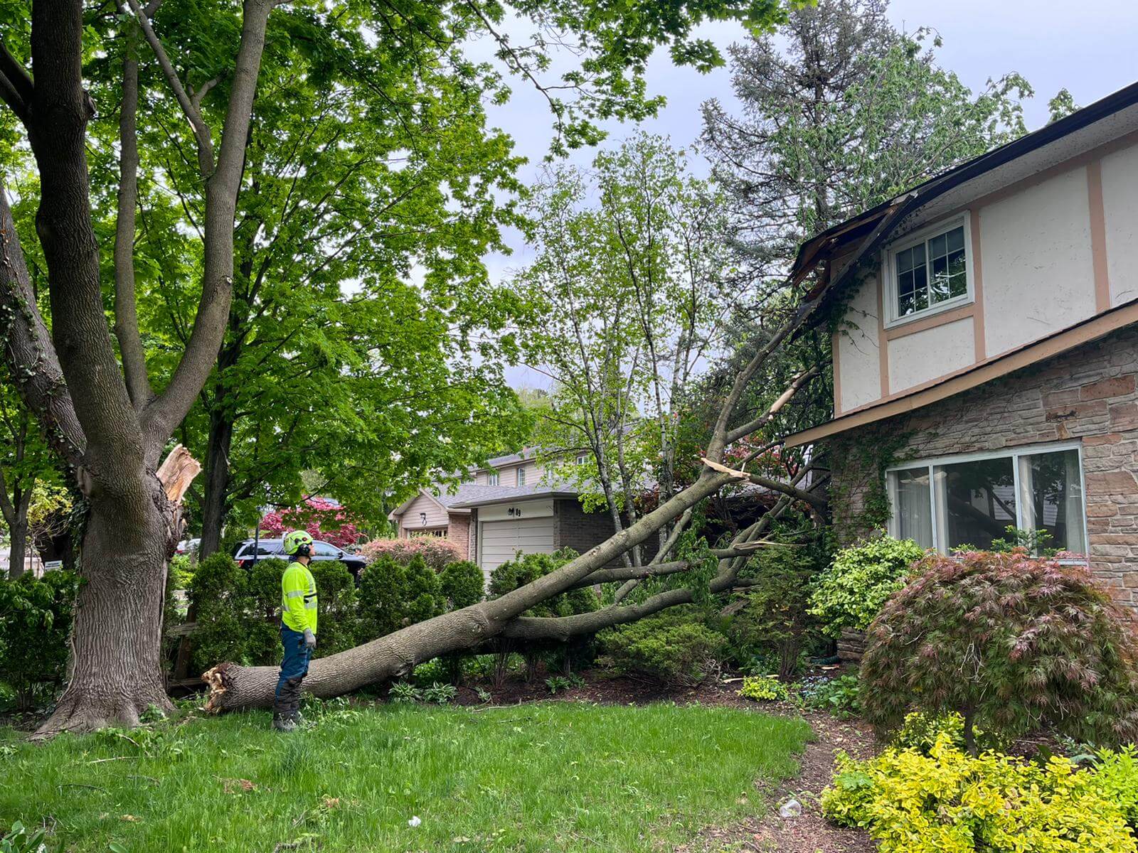 Storm Damage Restoration